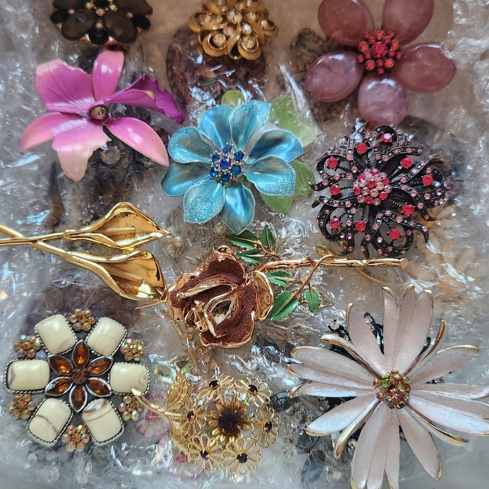 💥Brooches/pin/💥Live show. 💥$15 minimum purchase to ship